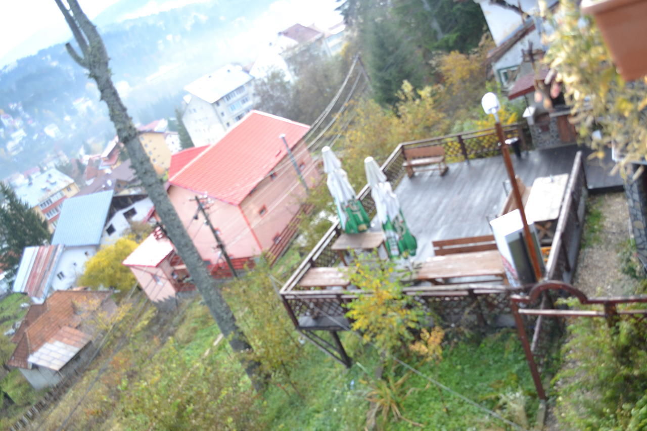 Гостевой дом Villa Milcov Предял-17