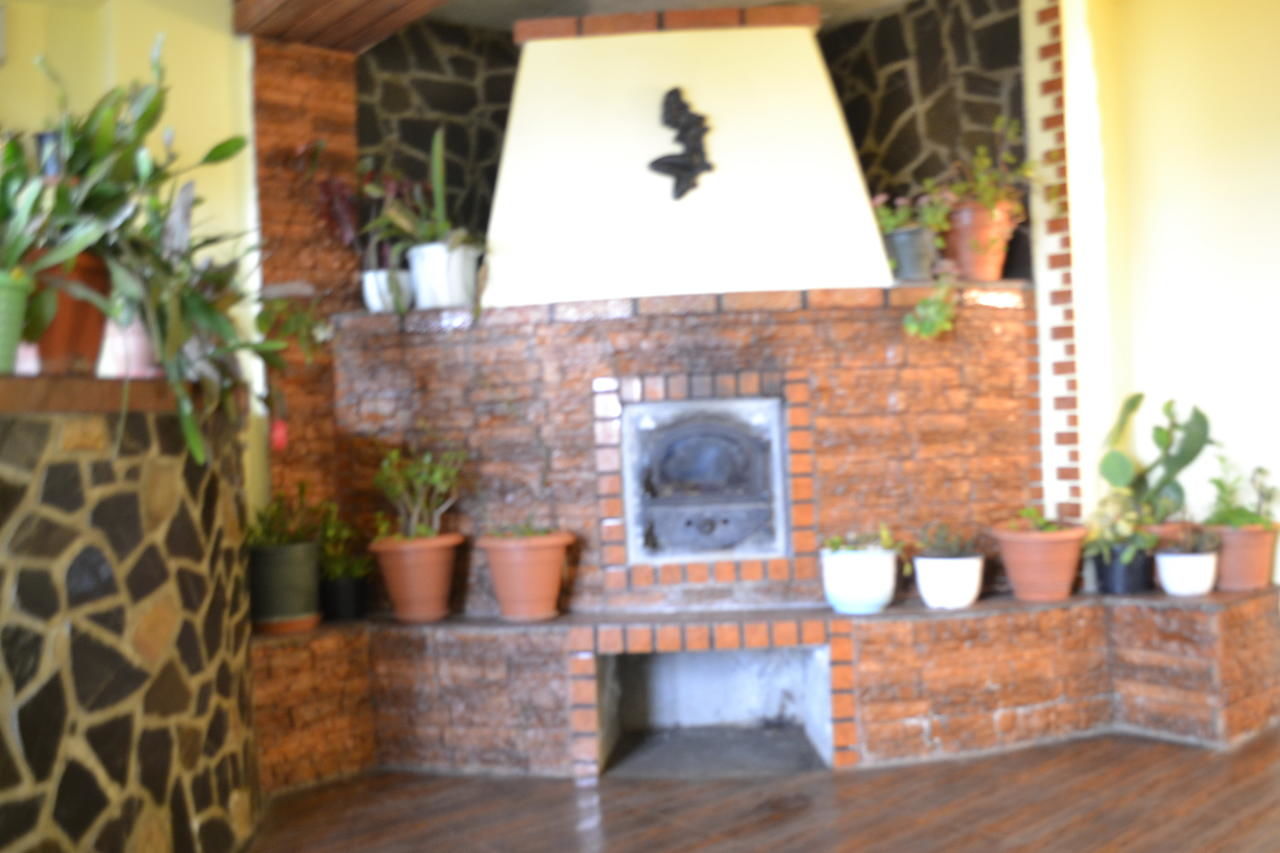 Гостевой дом Villa Milcov Предял-12